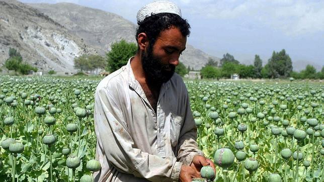 Экономика Афганистана